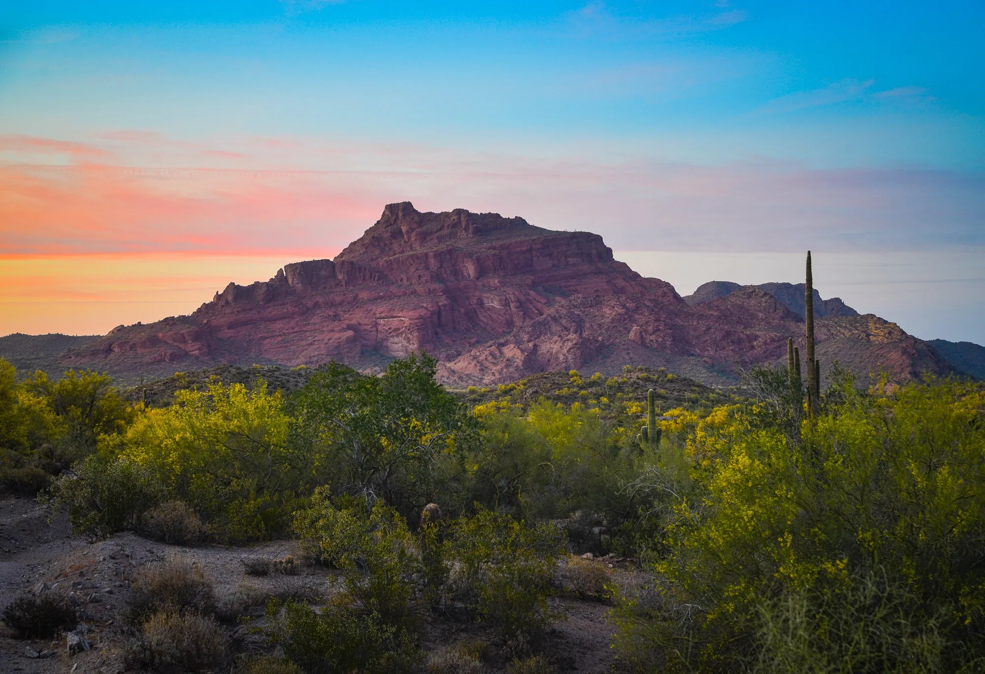 Desert with Mountains and Cacti